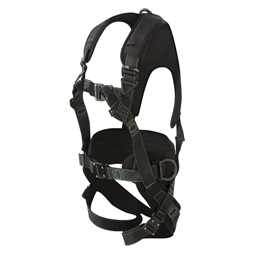 Testhevederzet teljes ALIOTH, 2 bekötési ponttal, 2